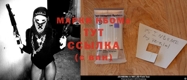 МДПВ Ельня