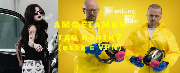 МДПВ Ельня
