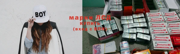 МДПВ Ельня