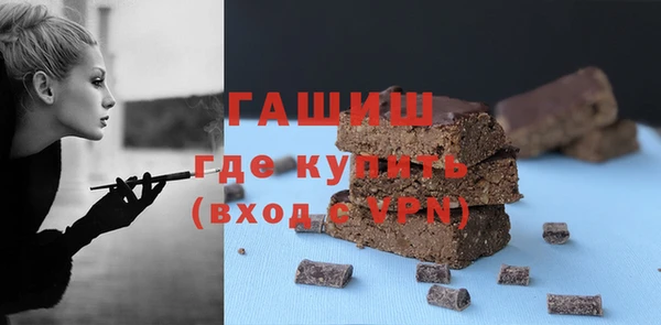 МДПВ Ельня