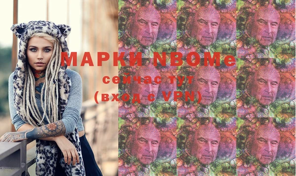 МДПВ Ельня