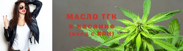 МДПВ Ельня