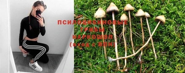 мет Елизово