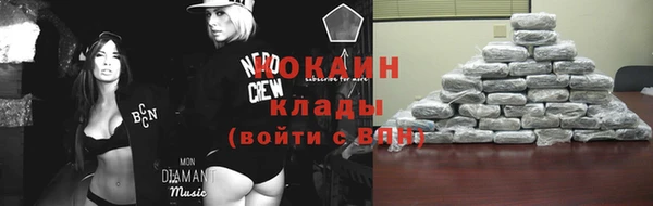 мет Елизово