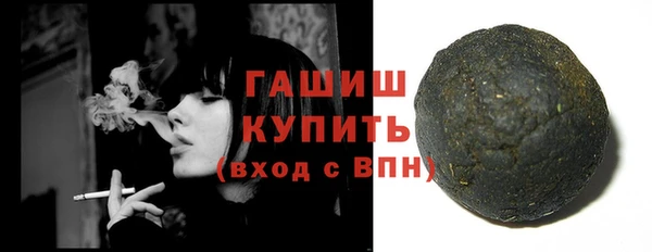 МДПВ Ельня
