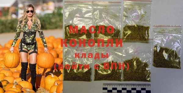 МДПВ Ельня