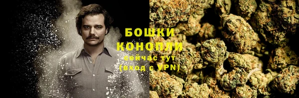 a pvp Дмитриев