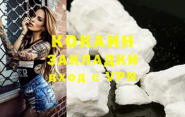 мет Елизово
