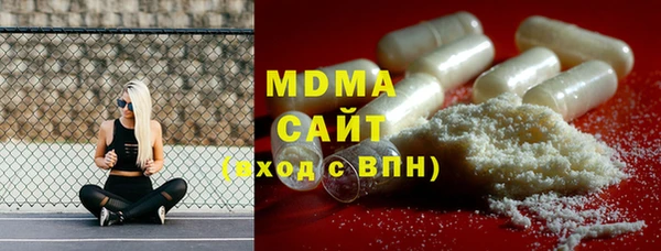 МДПВ Ельня