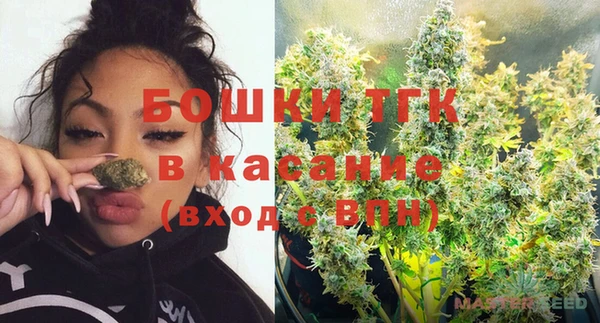 МДПВ Ельня